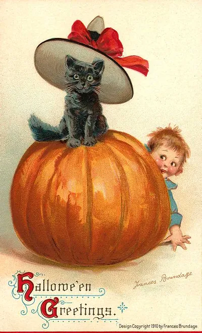 Hallowe'en Greetings: a black cat on a pumpkin