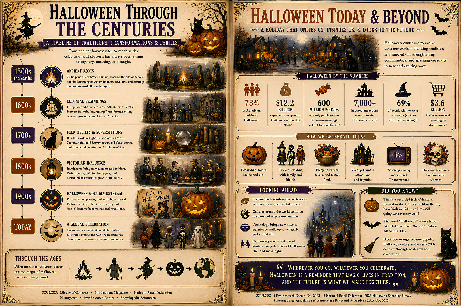 Infographic 6 (b) — historic image