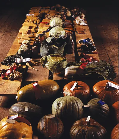 Photo of harvest vegetables