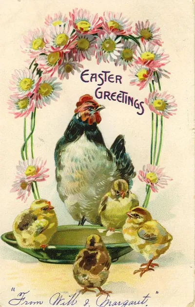 Easter Greetings postcard with hen and chicks, daisies