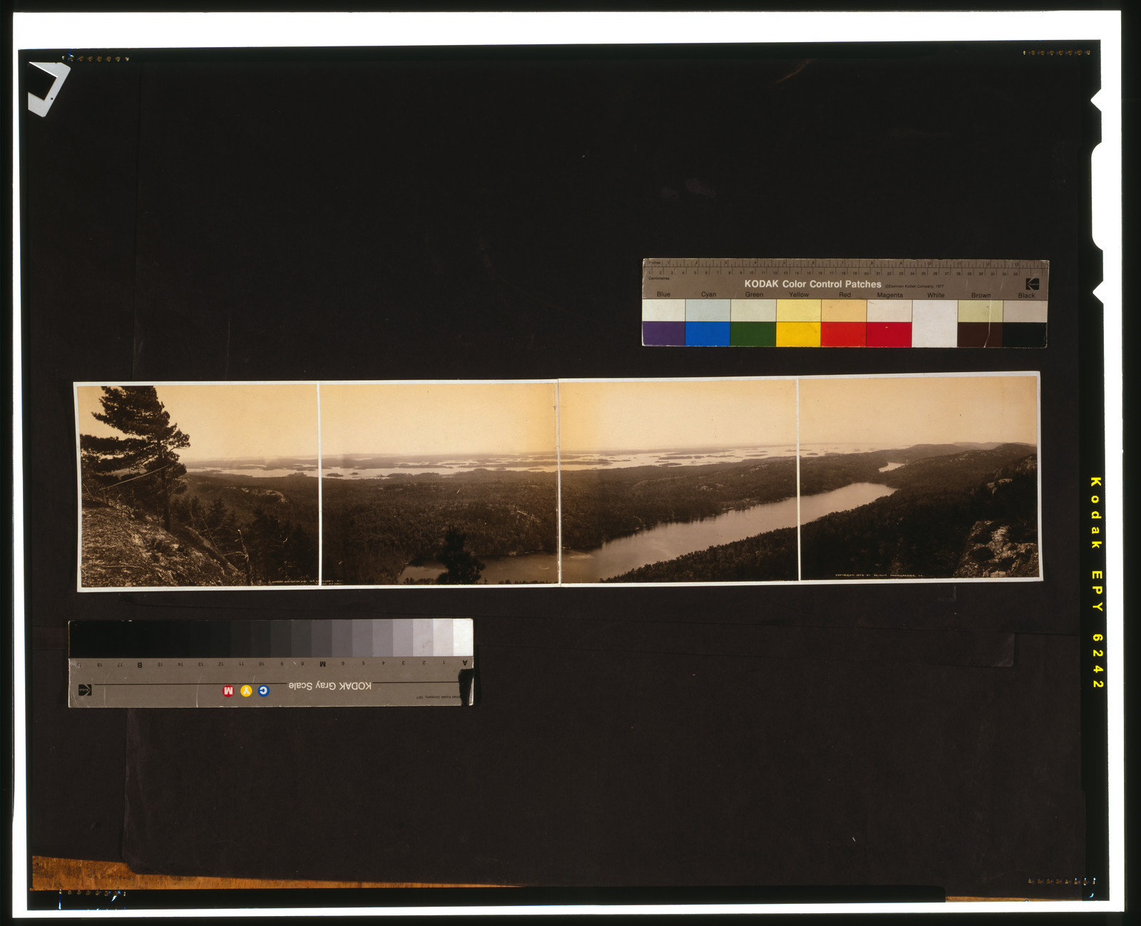 Whitefish and McGregor's Bay from Mt. Arabella, c1904. — historic photograph