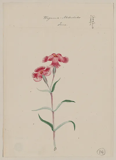 [Japanese drawing]