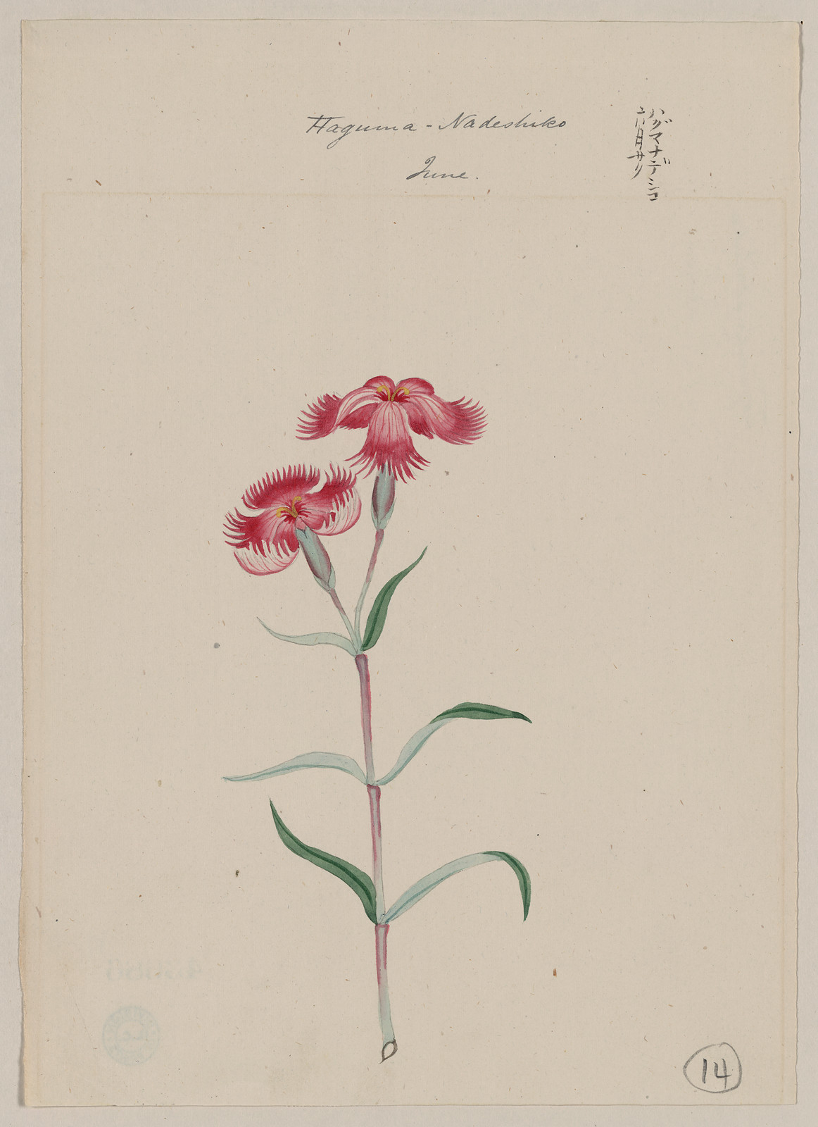 [Japanese drawing], 1750 — historic drawing