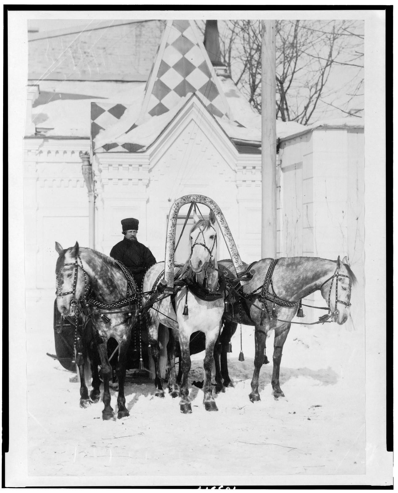 [Team of three horses pulling sled, Russia], [between 1880 and 1910] — historic photograph