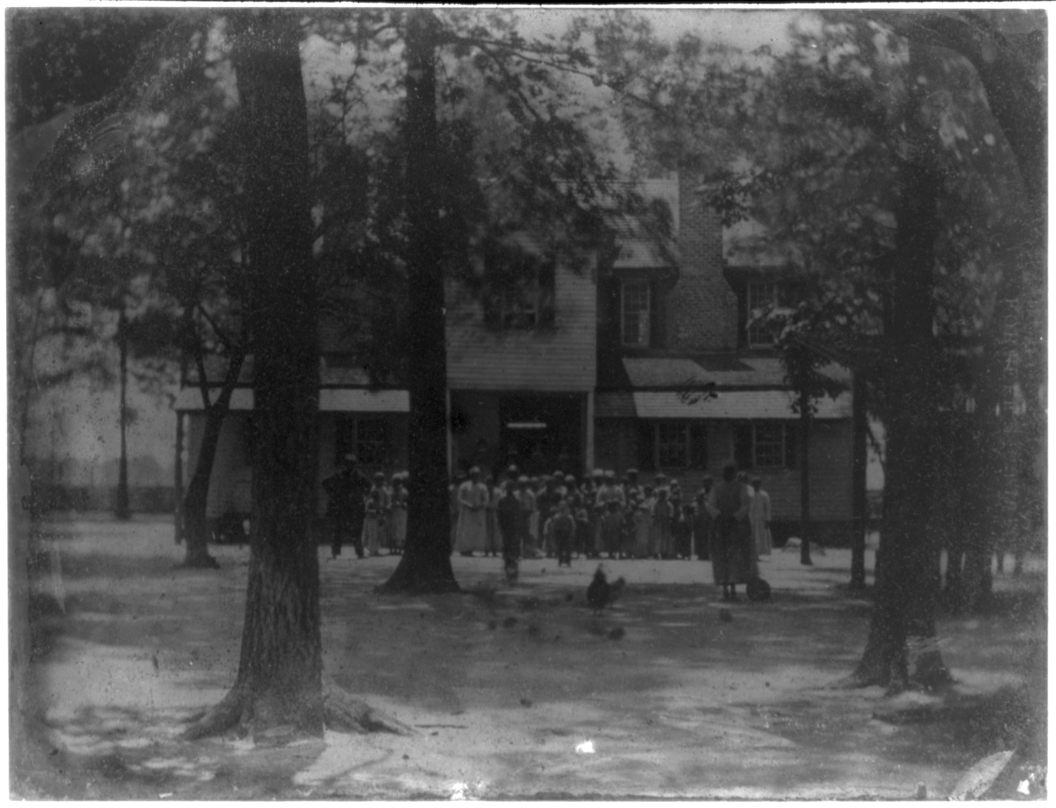 [Stirrup Branch Plantation, Bishopville, S.C., on the 75th birthday of Capt. James Rembert, June 8, 1857 - rear view of house with slaves arranged by rank], [1857] — historic photograph
