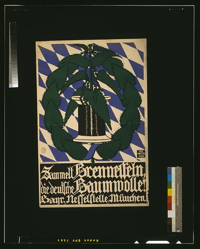 Sammelt Brennesseln, die deutsche Baumwolle
