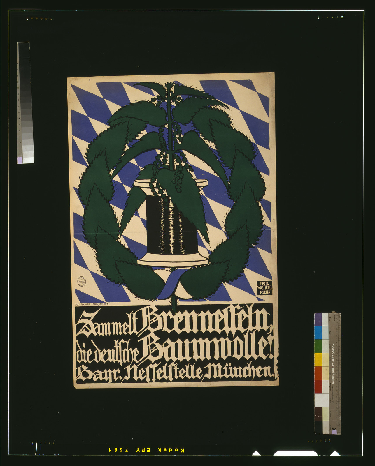 Sammelt Brennesseln, die deutsche Baumwolle, 1918 — historic image