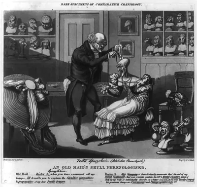 Rare specimens of comparative craniology: an old maid's skull phrenologised.