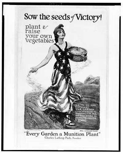 Sow the seeds of victory! Plant raise your own vegetables / James Montgomery Flagg.