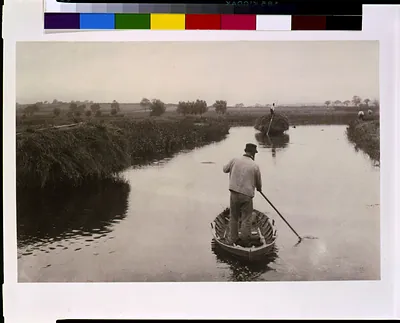 Quanting the marsh hay, Norfolk Broads, England