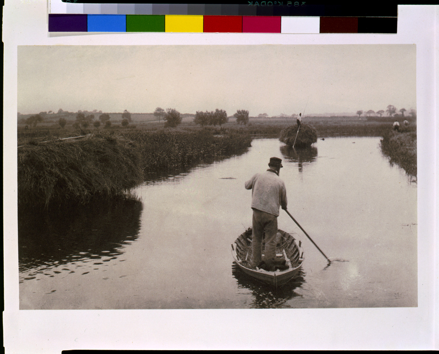 Quanting the marsh hay, Norfolk Broads, England, 1886 — historic photograph
