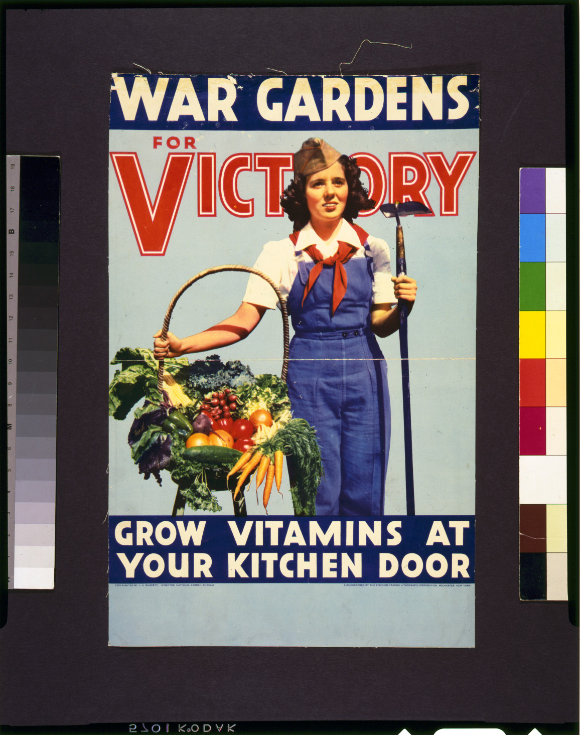 War gardens for victory--Grow vitamins at your kitchen door / lithographed by the Stecher-Traung Lithograph Corporation, Rochester, New York., [between 1939 and 1945] — vintage poster
