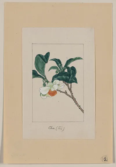 [Japanese drawing]