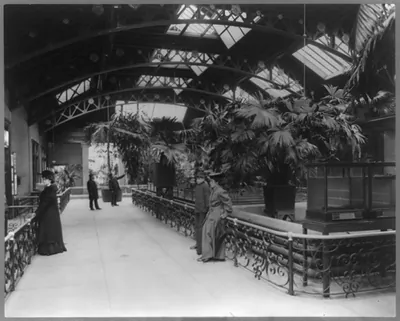 Zoo Park, New York City