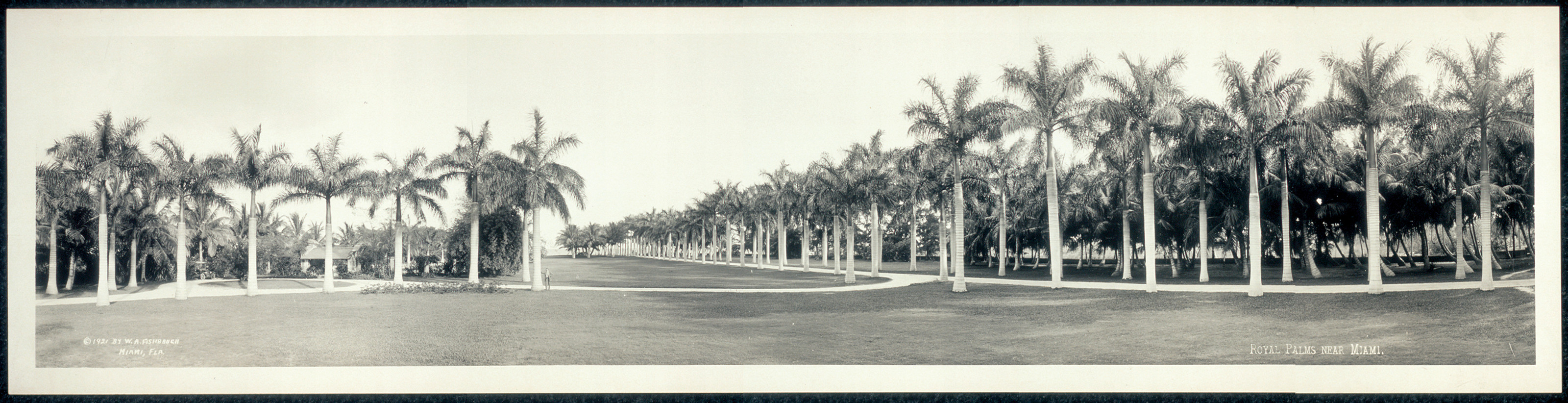 Royal Palms Miami, Florida, 1921, 1921 — historic image