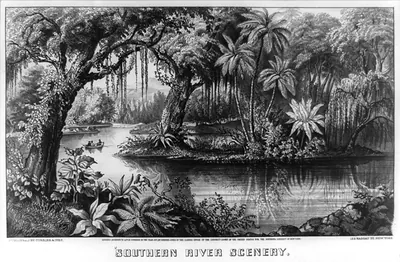 Southern river scenery