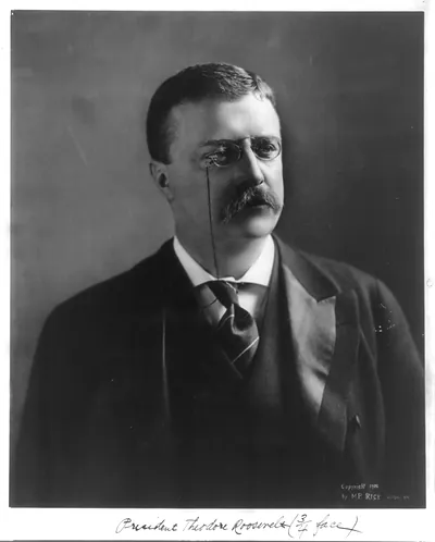 [Theodore Roosevelt, head and shoulders portrait, facing right]