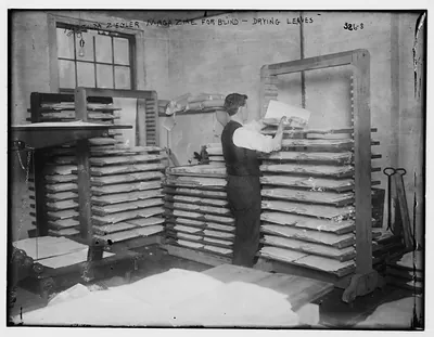 Matilda Ziegler Mag. For Blind: Drying leaves