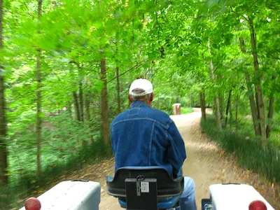 Man in denim jacket and cap driving a vehicle on a woodland path