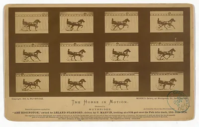 The Horse in Motion, Abe Edgington, by Muybridge