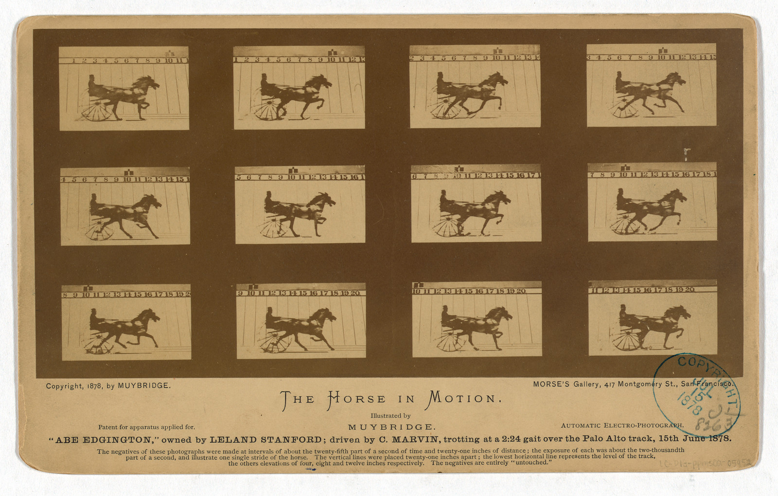 The Horse in Motion, Abe Edgington, by Muybridge — historic image