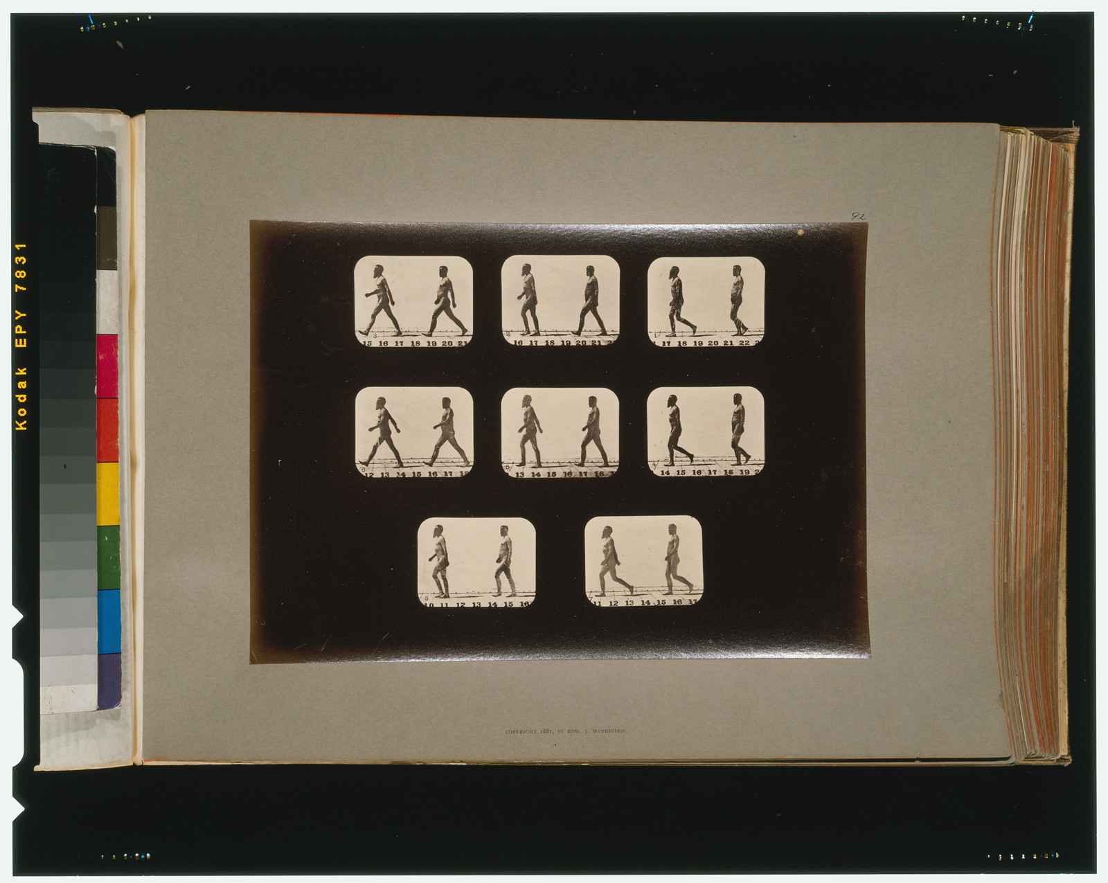 Athletes. Walking, [San Francisco] : Muybridge, c1881. — historic photograph