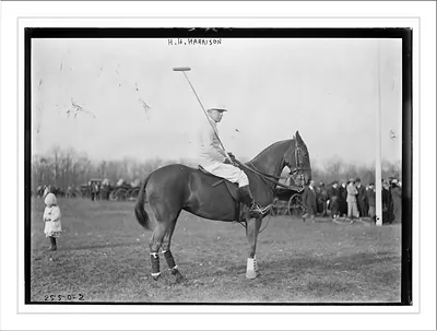 H.H. Harrison on horse - polo