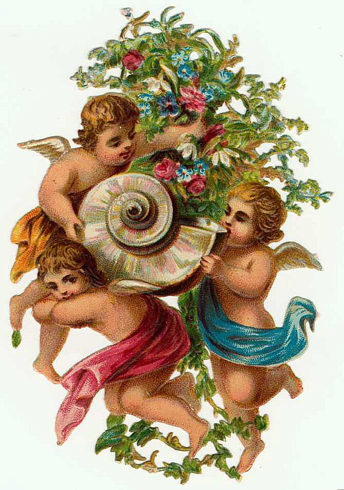 Three cherubs with a conch shell and flowers — historic image