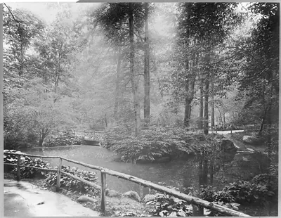 New York City - Central Park: The Ramble