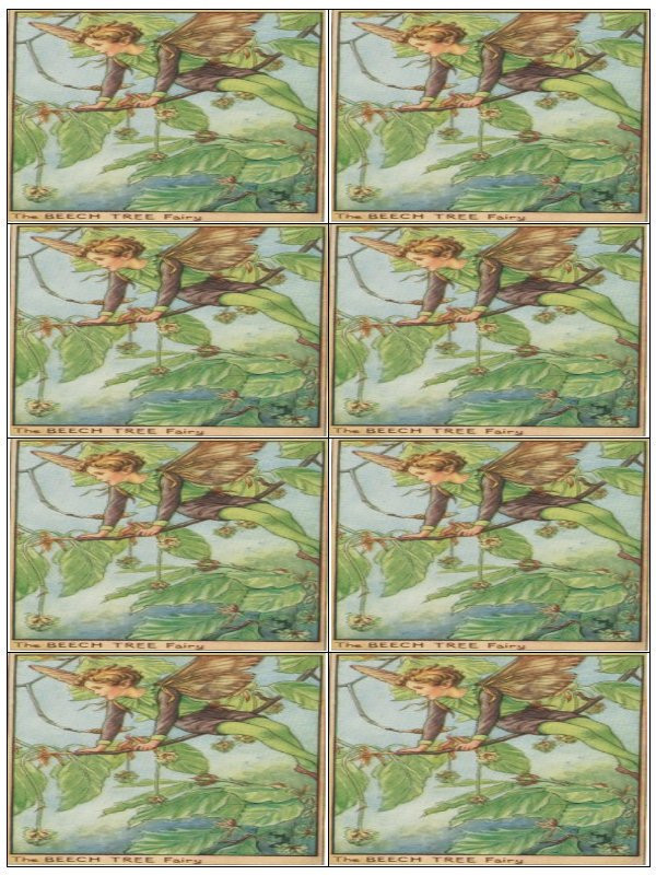 Eight repeated Beech Tree Fairy cards on one sheet — historic image