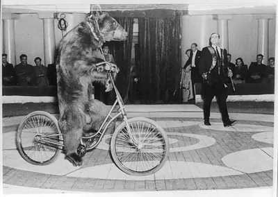 The forthcoming visit of the Soviet Circus artists to the Republic of Czechoslovakia