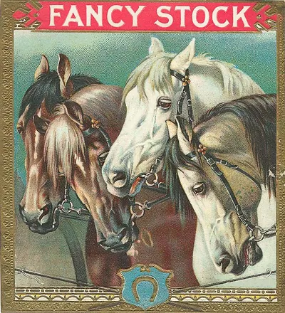 Fancy Stock label with three horses and horseshoe