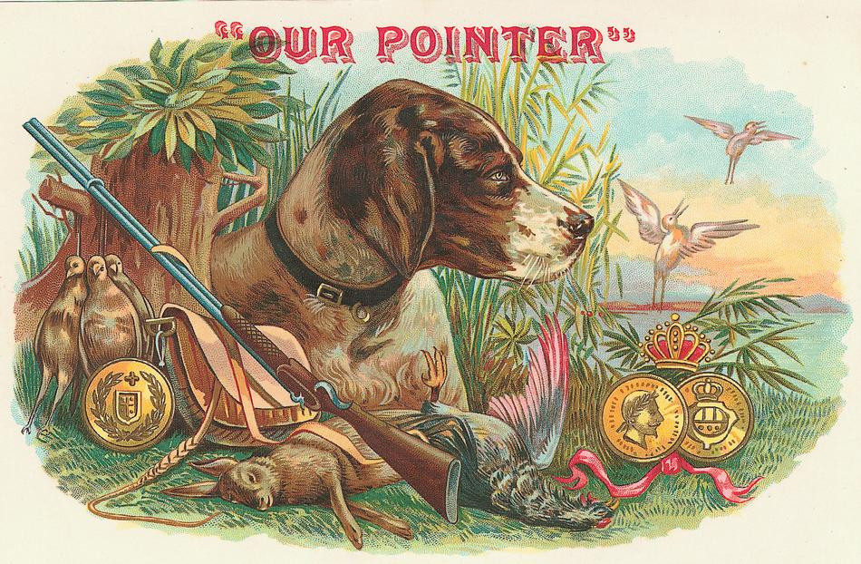 Our Pointer" cigar label with dog, gun and game — historic image