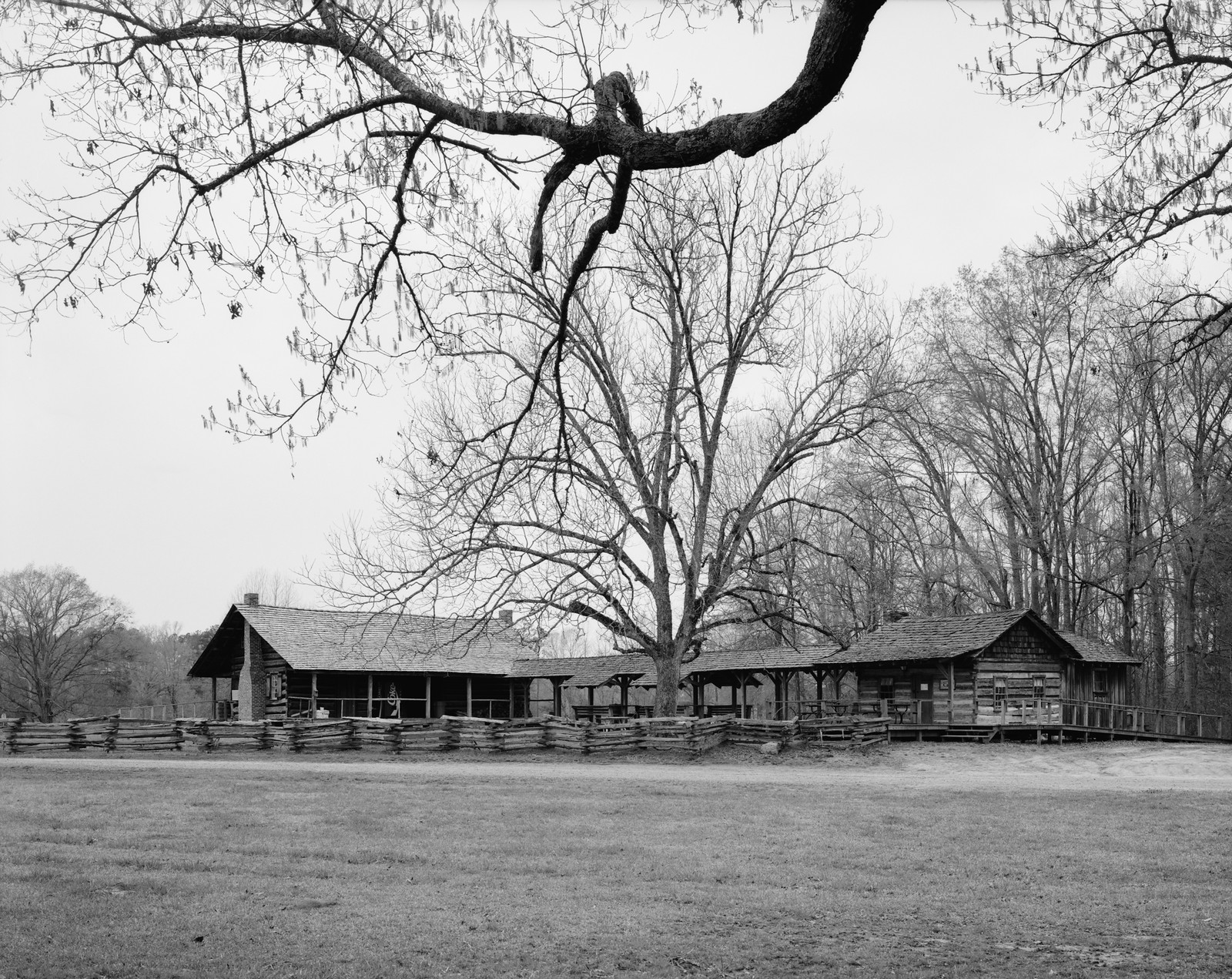 Log buildings with split-rail fence under bare trees — historic image