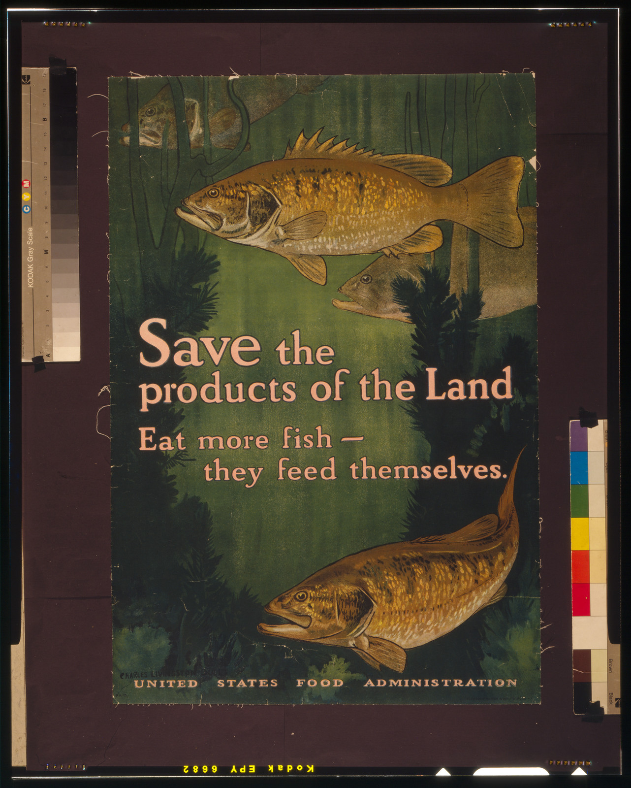 Save the products of the land; Eat more fish, they feed themselves — historic image