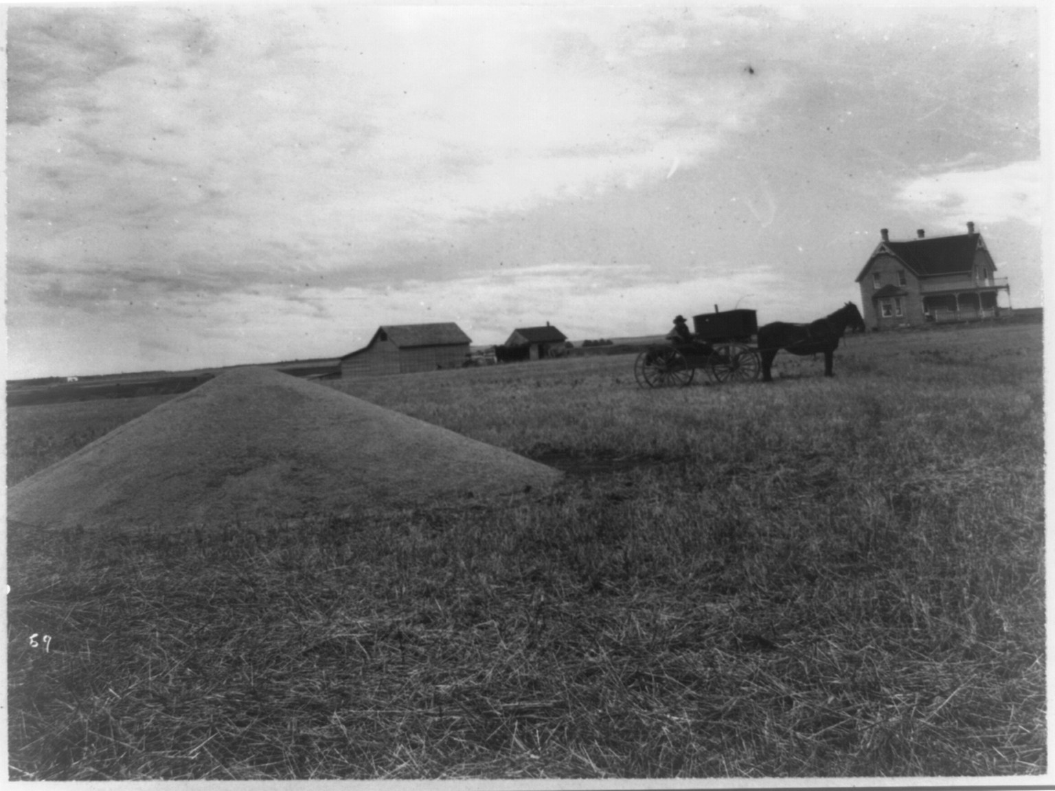 Farmer with horse and wagon in front of new and old homestead, 1917, Canada, 1917 — historic photograph