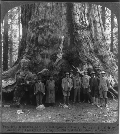 Theodore Roosevelt and his distinguished party, before the Grizley Giant big trees of California