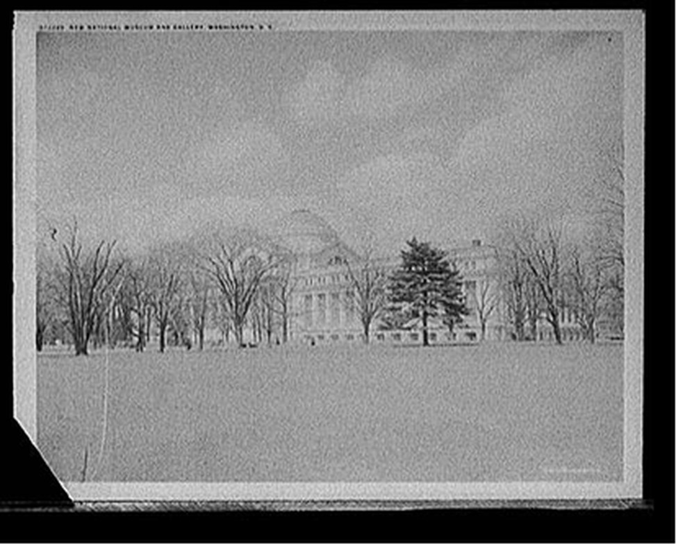 New National Museum [of Natural History] and Gallery, Washington, D.C., c[between 1910 and 1920] — historic photograph