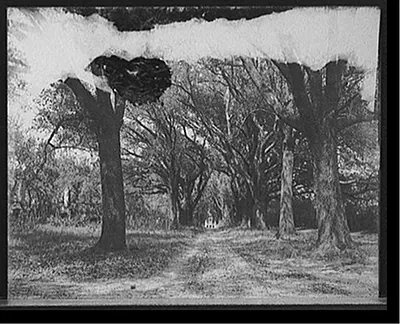 [The Hermitage, Oak Avenue, Savannah, Ga.]