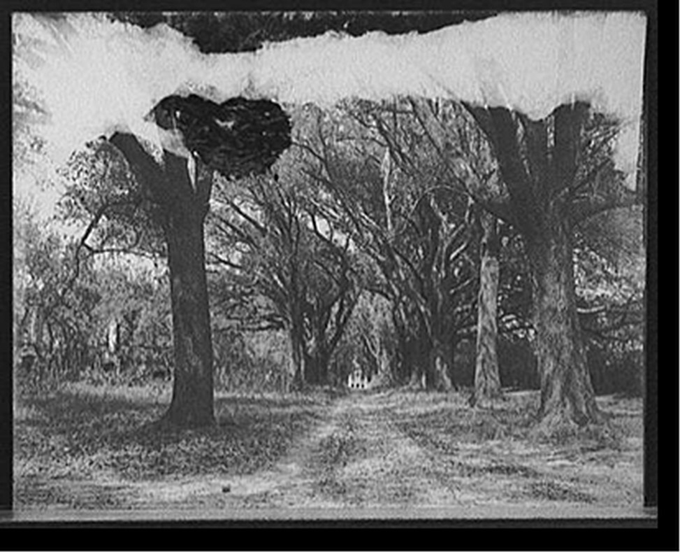 [The Hermitage, Oak Avenue, Savannah, Ga.], [1907?] — historic photograph