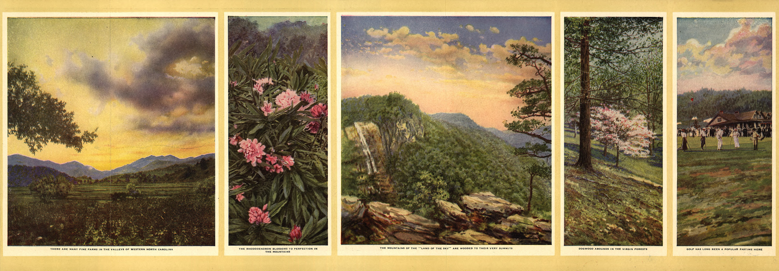 Five painted views of Western North Carolina mountain scenery — historic image