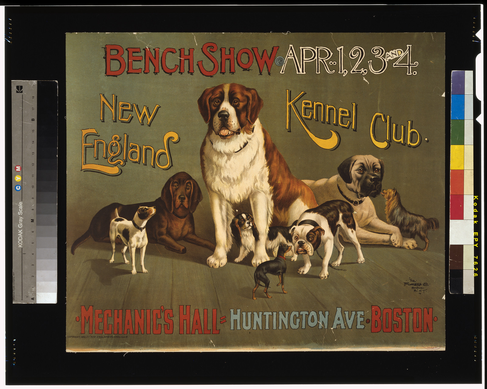 Bench show. New England Kennel Club, 1890 — vintage poster