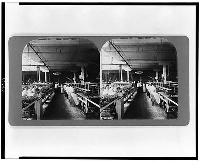 Packing sliced bacon in glass jars, Armours, Union Stock Yards, Chicago, U.S.A.