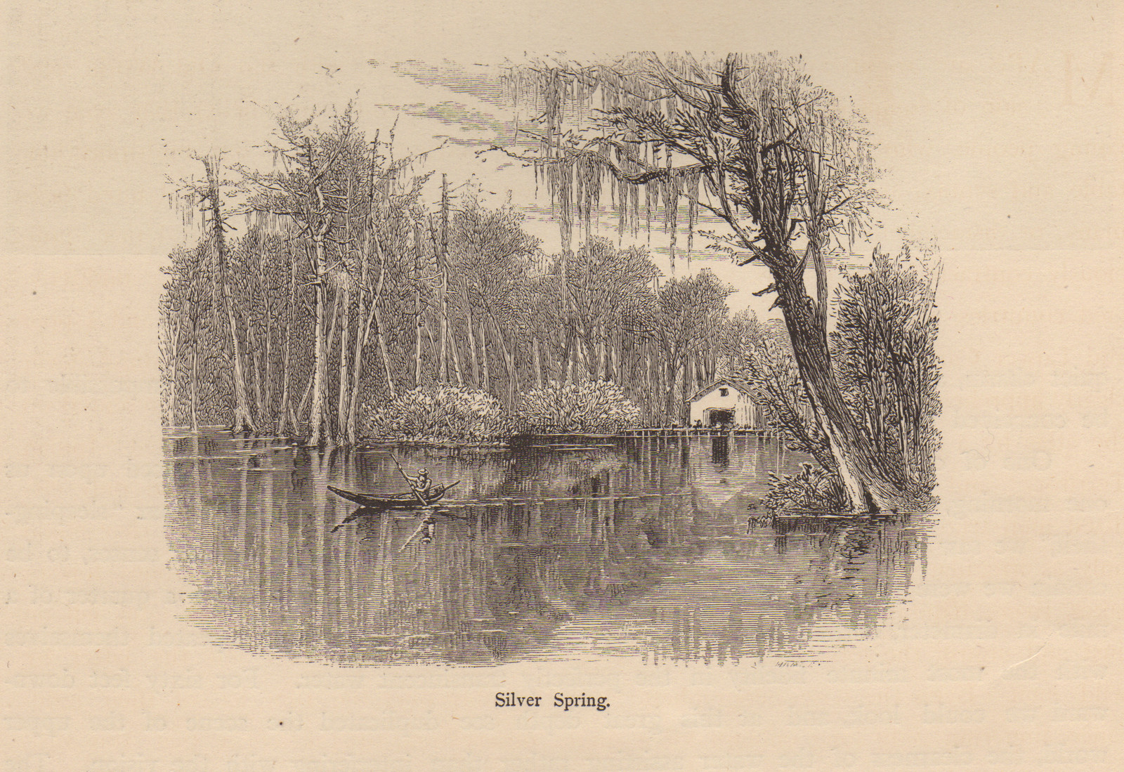 Silver Spring: engraved view of trees over still water — historic image