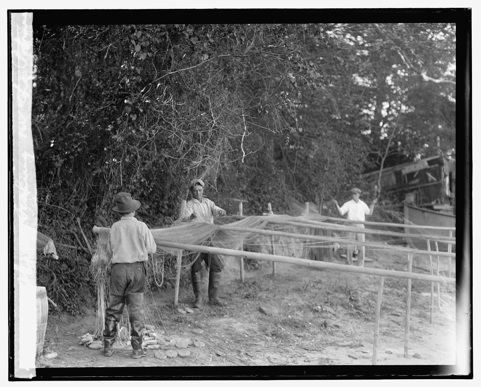 Shad fishing on the Potomac, [between 1909 and 1932] — historic photograph