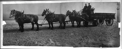 Pabst Champion six horse team, left side