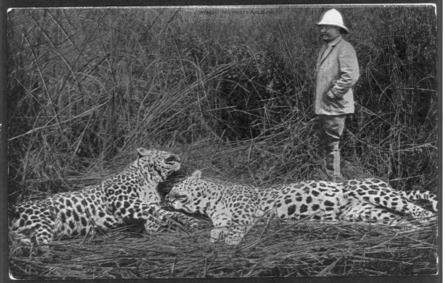 Pres. Theodore Roosevelt in Africa: Kermit Roosevelt's narrow escape, c1910. — historic print
