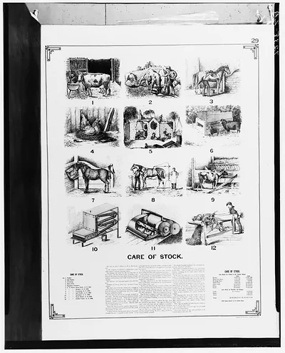 Page 29, Care of Stock, with numbered farm and livestock illustrations