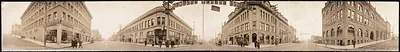 Bellingham Holly - Elk Streets, Washington, 1909