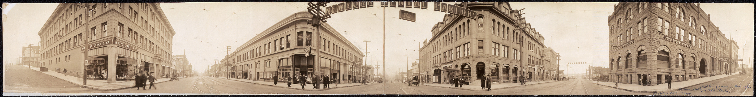 Bellingham Holly - Elk Streets, Washington, 1909, 1909 — historic image